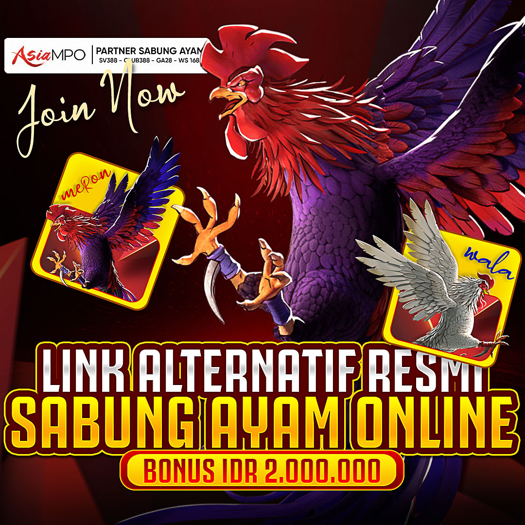 ASIAMPO : LINK ALTERNATIF SABUNG AYAM ONLINE!!